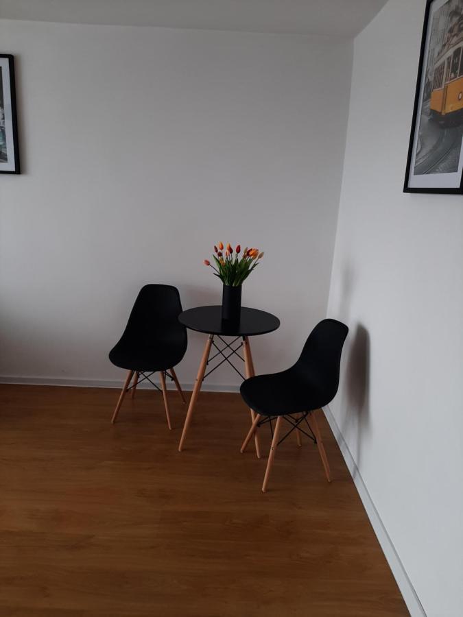 Kawalerka 28M Salon Z Kuchnia Centrum Новы Сонч Экстерьер фото